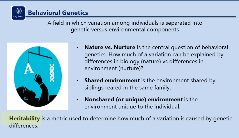 <p>Behavioral Genetics</p>