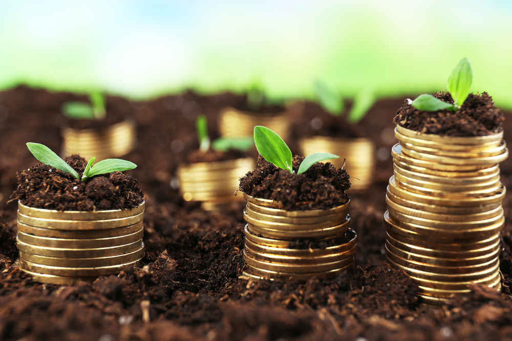 <p>expenditures that increase the volume of physical <em>capital </em>(roads, factories, wireless networks) and intangible ideas (formulas, processes, algorithms) that help to produce goods and services</p><p>not to be confused with financial investment</p><ul><li><p>capital</p></li><li><p>economic system</p></li></ul><p></p>