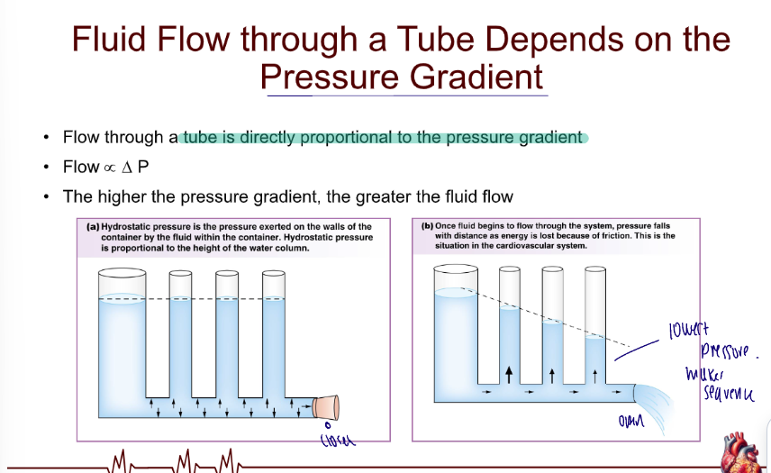 <p>Directly proportional, as pressure increases, so does flow and vice versa</p>