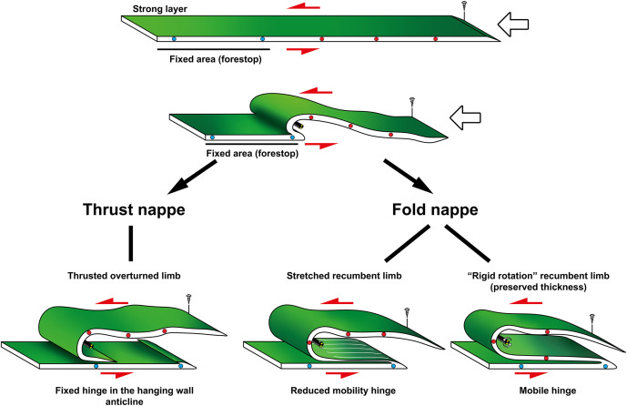 <ul><li><p>fold - massive fold becomes so recumbent that lower limb shears out</p></li><li><p>thrust - tectonic ‘slices’ of crust stacked on top of one another</p></li></ul><p></p>