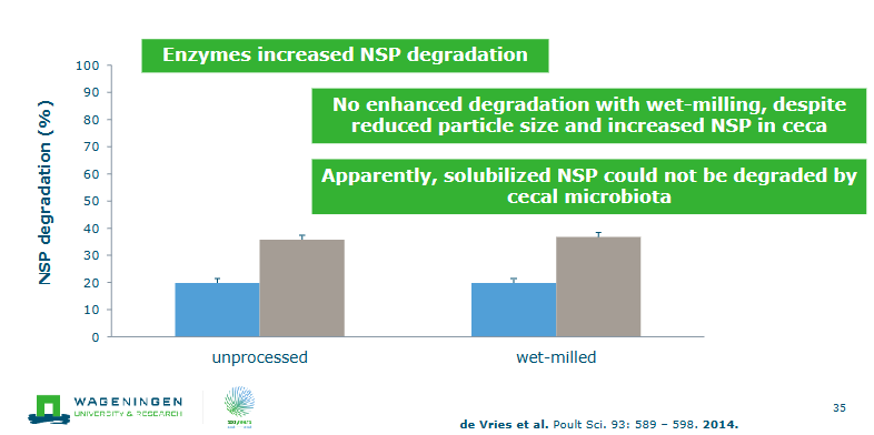 <p>enzymes increased NSP degradation</p><p>no enhanced degradation with wet-milling, despite reduced particle size and increased NSP in ceca</p><p>Apparently, solubilized NSP could not be degraded by cecal microbiota</p>