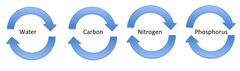 <p>process in which elements, chemical compounds, and other forms of matter are passed from one part of the biosphere to another</p>