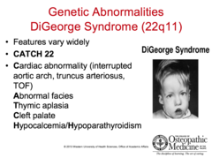 <p>- Hypocalcemia </p><p>- Thymic Aplasia</p><p>-Recurrent viral/fungal infections (T cell deficiency, because there is no thymus)</p><p>- Congenital heart defects</p><p>- Cleft palate</p>