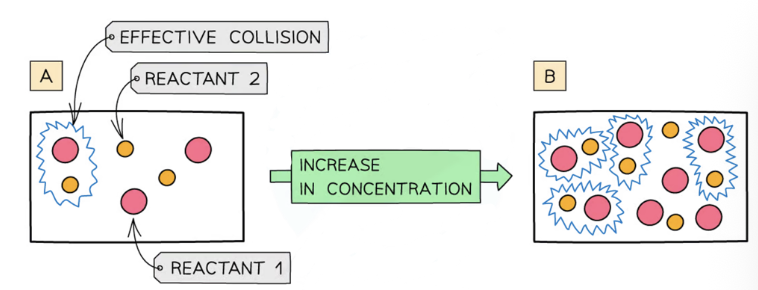 <p>as concentration increases, the rate increases</p><p>when more particles are present, there will be more collisions</p><p>as reactants are used up, the reaction slows down</p>