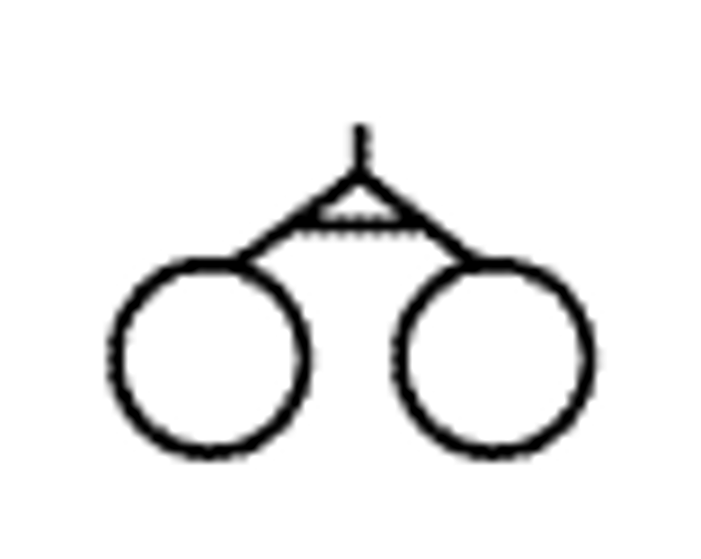<p>- Twins resulting from the division of a single zygote after fertilization</p><p>- Identical twins</p>