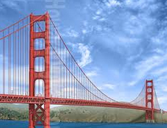 <p>bridges in which the roadway is suspended by steel cables</p>