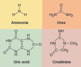<p>Substances eliminated as waste products (pt 1)</p>