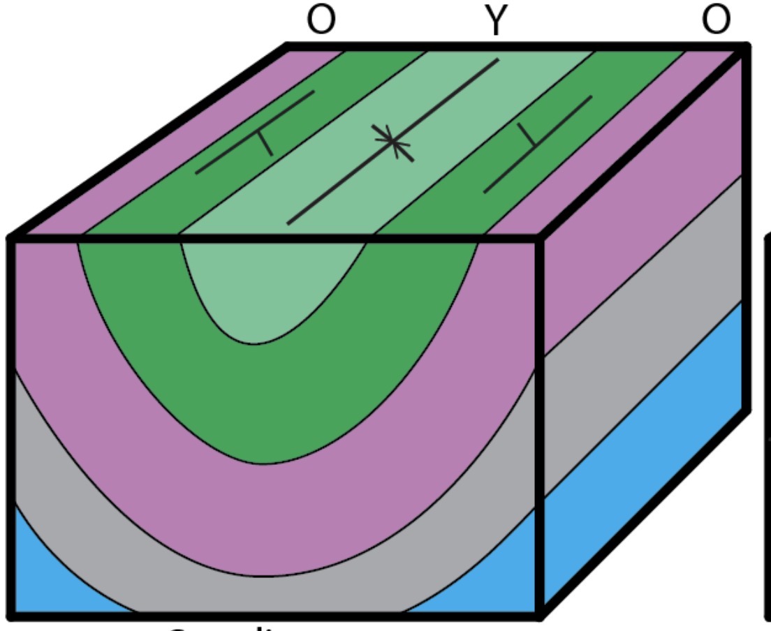 <p>downward fold with youngest rock in center</p>