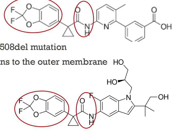 <p>Lumacaftor and Tezacaftor</p>