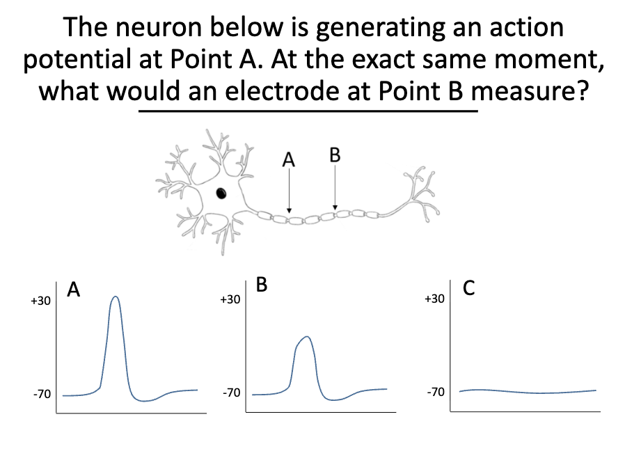 <p>Question</p>