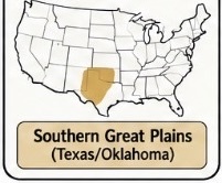 <p>Southern Great Plains (Texas/Oklahoma) — buffalo hunting and horse culture</p>