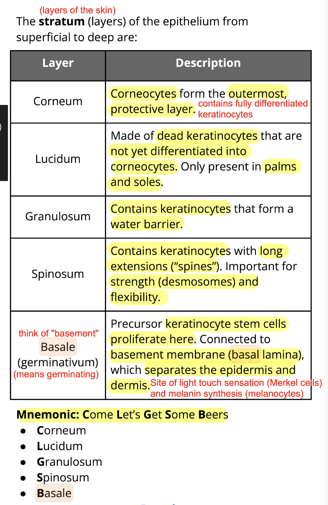 knowt flashcard image