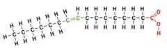 <p>- Made up of a carbon chain with at least one double bond </p><p>- AKA oil at room temp</p><p>- Can be in 1 of 2 positions: Cis or Trans Configurations</p>
