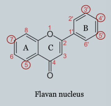 <p>Two aromatic rings + heterocyclic ring</p>