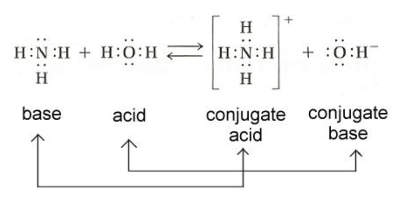 <ul><li><p><strong>Brönsted-Lowry Acids and Bases</strong></p></li><li><p><strong>Acid</strong></p><ul><li><p>Proton (H+) Donor</p></li></ul></li><li><p><strong>Base</strong></p><ul><li><p>Proton (H+) Acceptor</p></li></ul></li><li><p>In an acid-base reaction, H+ is transferred from the acid to the</p><p>base. Water is frequently a product.</p></li></ul><p></p>