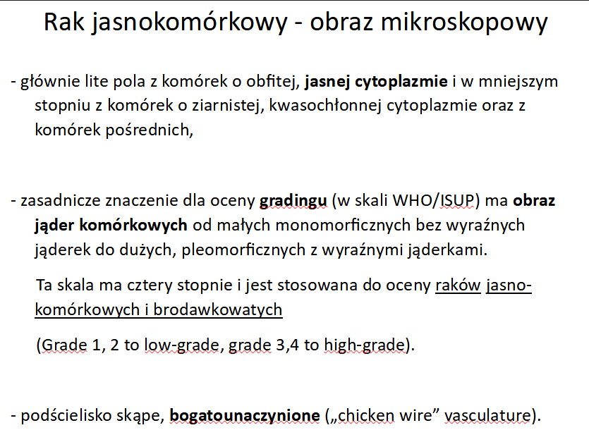 <p>A. wielkość jąderek</p>