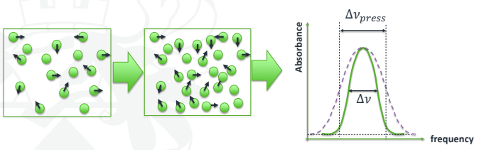 <p>Collisions between the gas phase molecules leads to exchange of energy between them, therefore blurring the energy levels and causing broadening.</p><ul><li><p>More molecules means a greater pressure, reducing time between collisions which reduces lifetime and so linewidth increases.</p></li></ul><p></p>