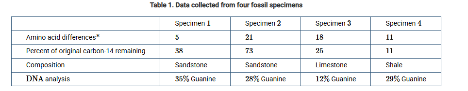 <p>Scientists want to determine the age of four fossil specimens. They have analyzed the fossils and gathered the data shown in Table 1.<br>amino acid differences of a conserved protein compared with a fifth fossil specimen</p><p class="stem_paragraph">Which of the specimens indicated in the table is the oldest?</p><p><strong>A) </strong>Specimen1</p><p><strong>B) </strong>Specimen2</p><p><strong>C) </strong>Specimen3</p><p><strong>D) </strong>Specimen4</p>