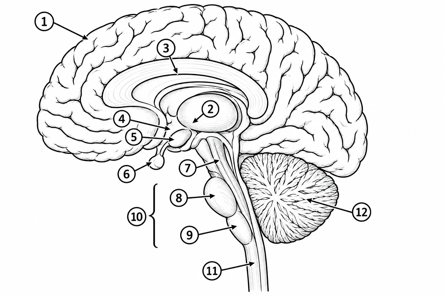 <p>structure-term of #3</p>
