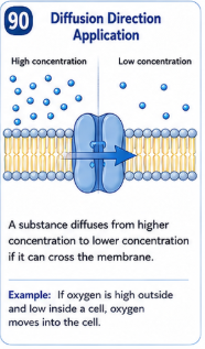 A substance undergoing diffusion moves from higher concentration to lower concentration if it can cross the membrane. Example: If oxygen concentration is high outside a cell and low inside oxygen moves into the cell.
