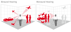 <p>The ability to determine where a sound originates.</p>