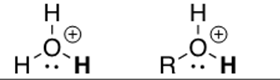 <p>hydronium or RO2 (protonated alcohol)</p>
