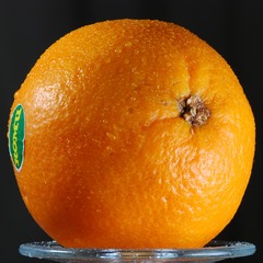 <p>4013</p>