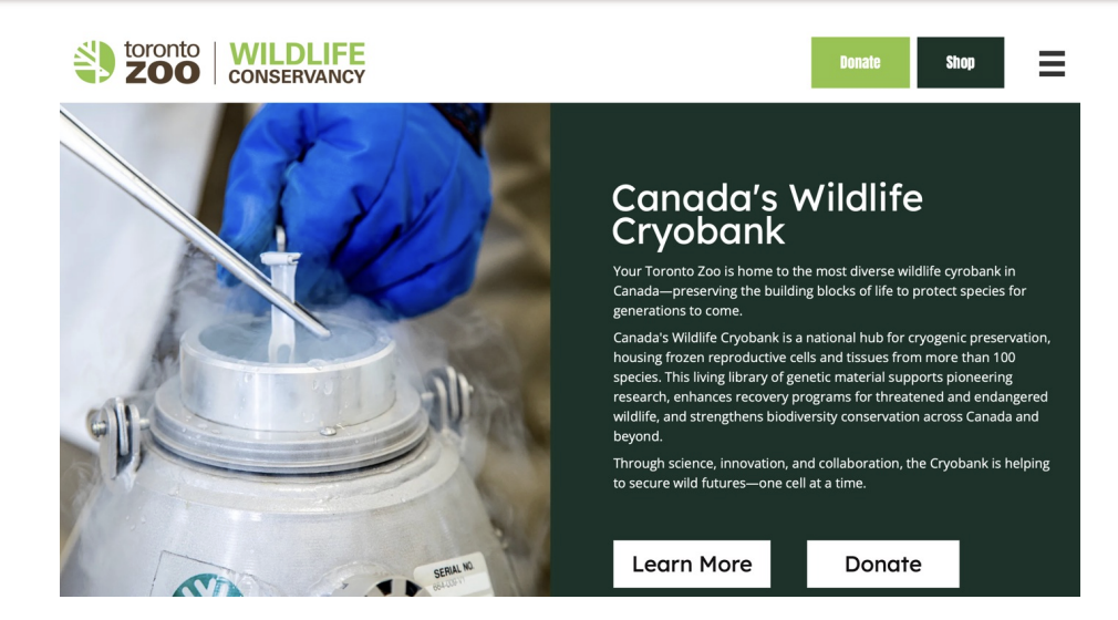 <ul><li><p>collections of living cells, gametes, embryos, DNA, tissues that are cryopreserved to preserve species’ genetic diversity and prevent extinctions </p><ul><li><p>(also called cryobanks)</p></li></ul></li><li><p><span style="background-color: inherit; line-height: 19.55px; color: windowtext;">Get as much tissues, gametes, and cells and freeze them</span><span style="line-height: 19.55px; color: windowtext;"> </span></p><ul><li><p class="Paragraph SCXO173103506 BCX0" style="text-align: left;"><span style="background-color: inherit; line-height: 19.55px; color: windowtext;">Frozen -> species will not truly go extinct as long as bank exists</span><span style="line-height: 19.55px; color: windowtext;"> </span></p></li></ul></li></ul><p></p>