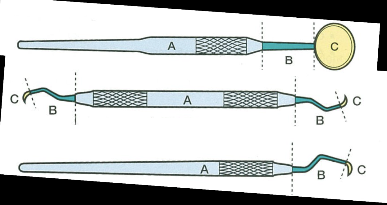 <p>What is C labeling?</p>