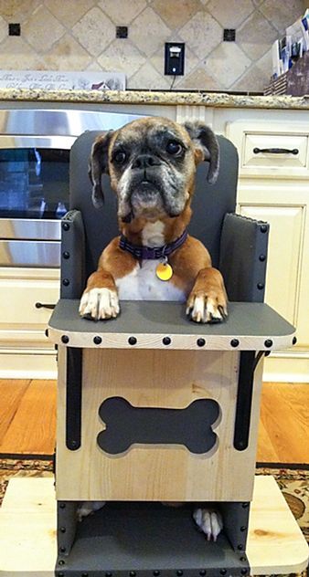 <p>Elevated feeding duration</p>
