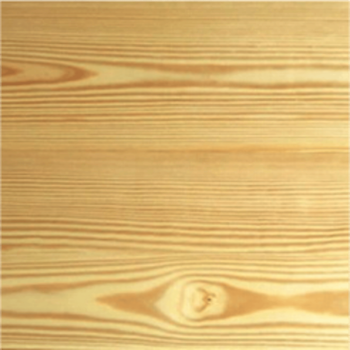 <p>Scots pine (softwood)</p>