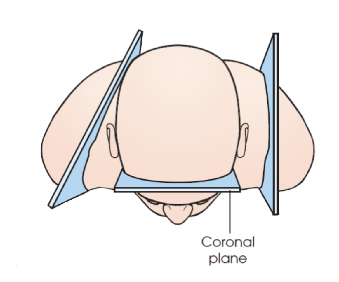 <p>what plane is this?</p>