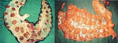 <p>What is visible here?</p>