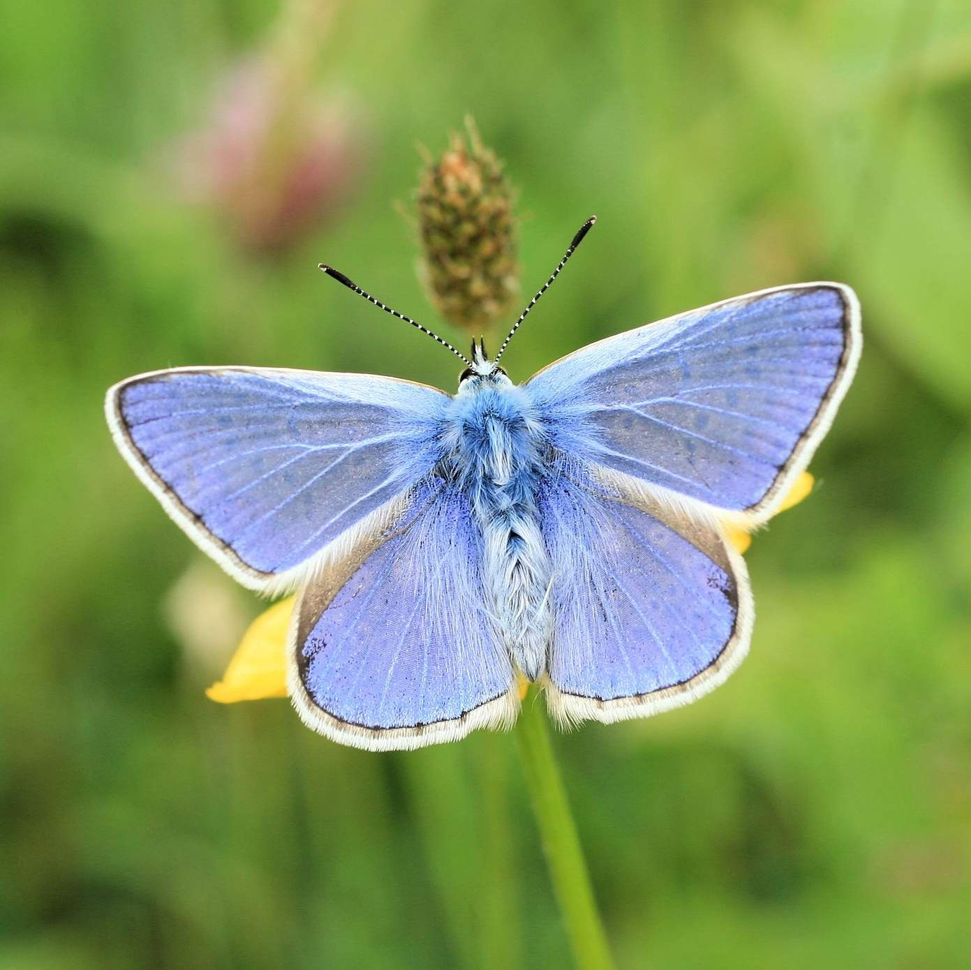 <p>Male or female?</p>