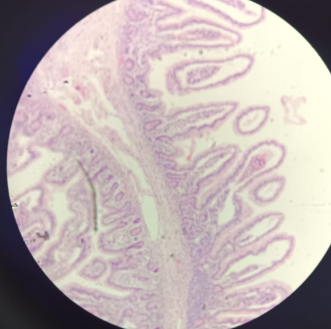 <p>What is this?</p>