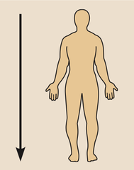 <p>Below</p>