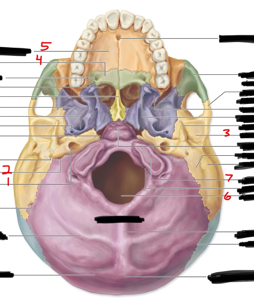 <p>6</p>