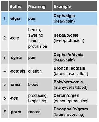 <p>-algia</p>