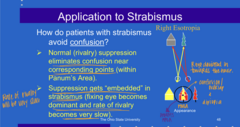 <p>How do patients with strabismus avoid confusion?</p>