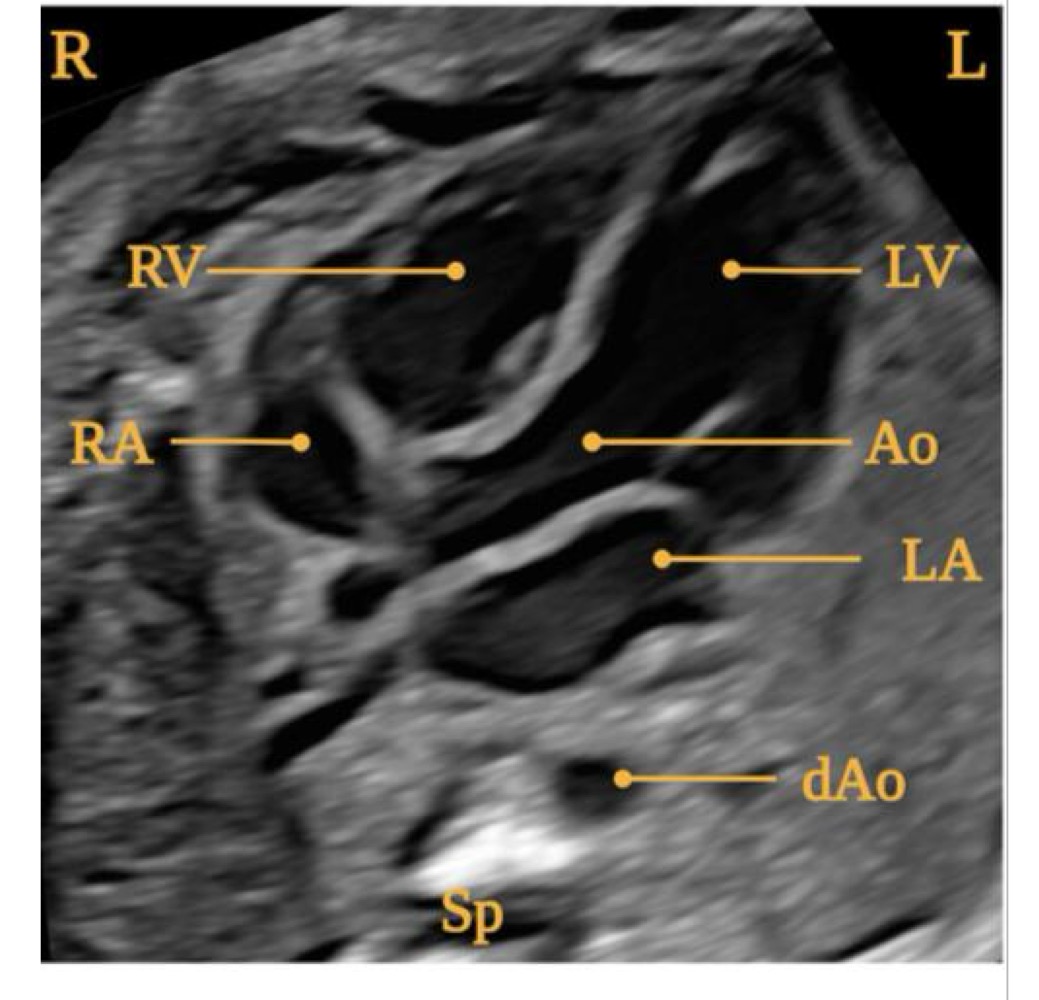 <p>What view is this? </p>