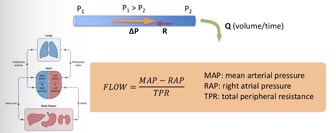 <p>Definition: a certain amount of blood getting through a certain spot in a certain amount of time</p>