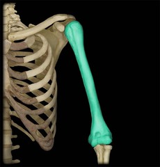 <p>identify the structure</p>