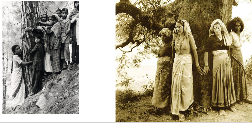 <ul><li><p>women who decided to protect the trees from logging</p></li></ul><p></p>
