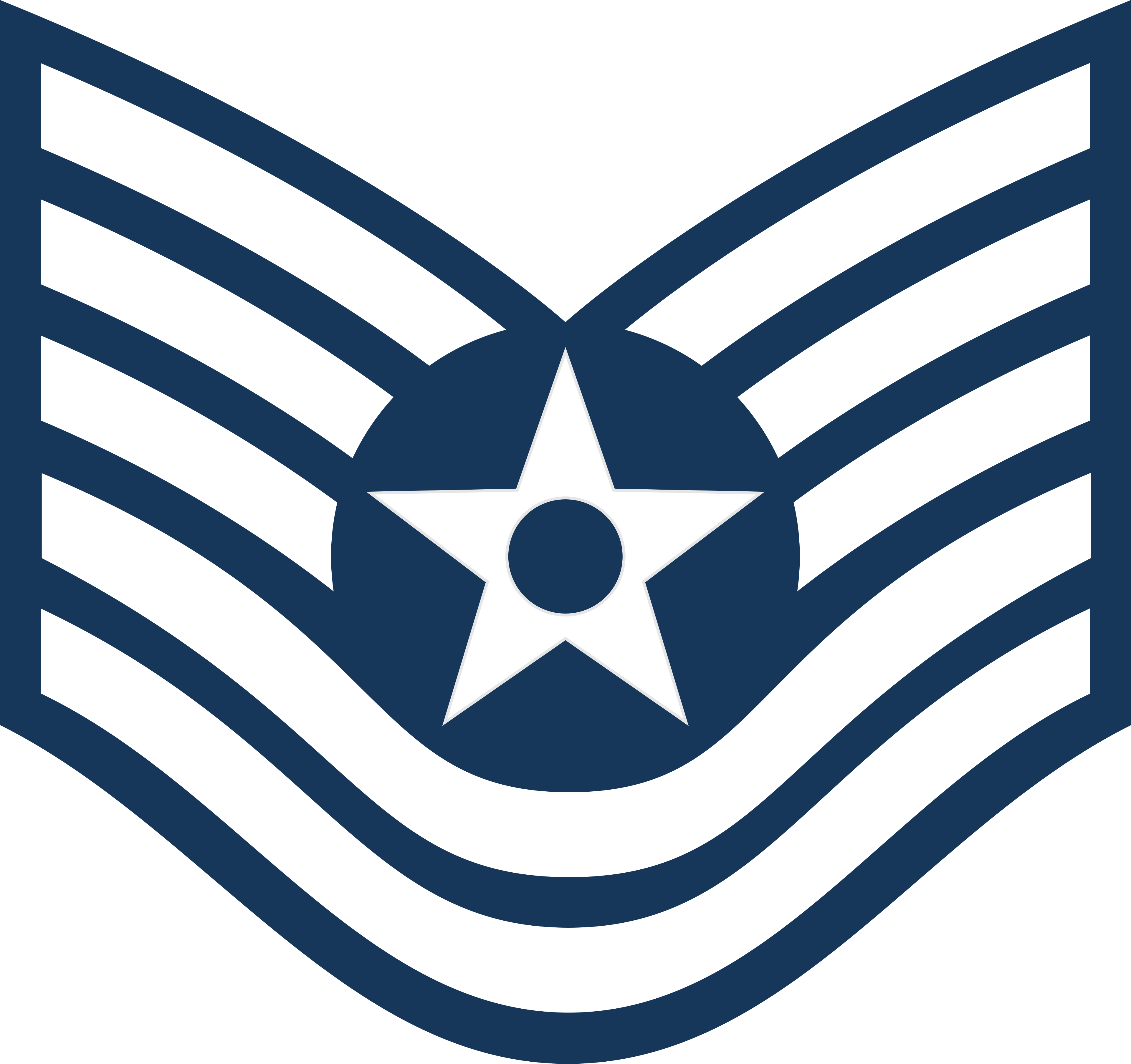 <p>Rank, Abbreviation, Pay Grade</p>