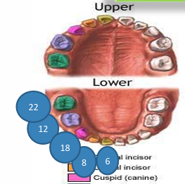 knowt flashcard image