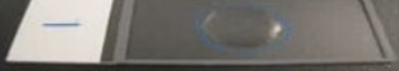 <p>test name and result</p>