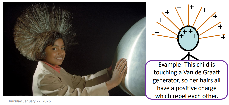 <ul><li><p>Thunderclouds</p></li><li><p>Van De Graaff generators</p></li></ul><p></p>