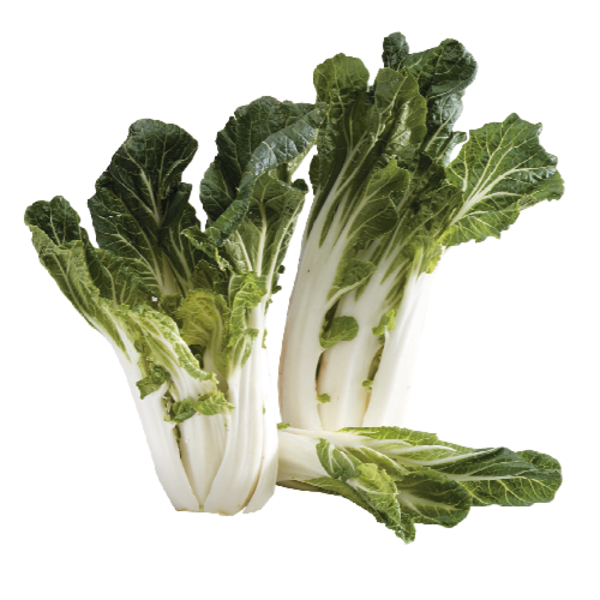 <p>Bok Choy, Organic</p>