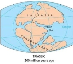 <p>North America, Europe, Greenland, part of Asia</p>
