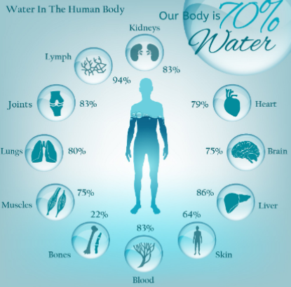 <p>Most abundant</p><p>inorganic compound</p><p>Accounts for 60%–80% of</p><p>the volume of living cells</p>